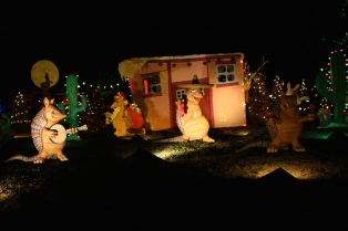 2012-12-22-Trail-of-Lights-66.jpg